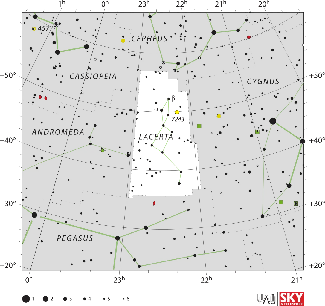 Constellation du Lézard