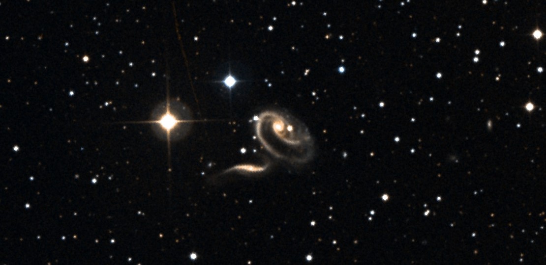 Arp 273