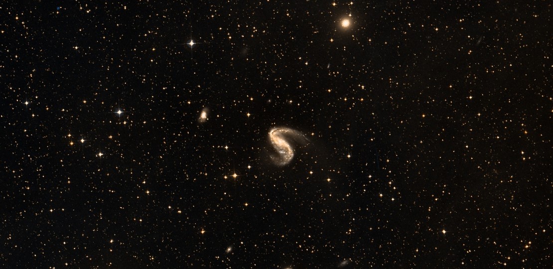 NGC 2442
