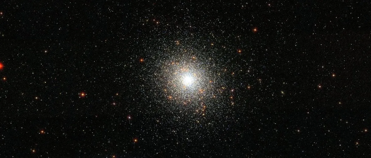 M 5