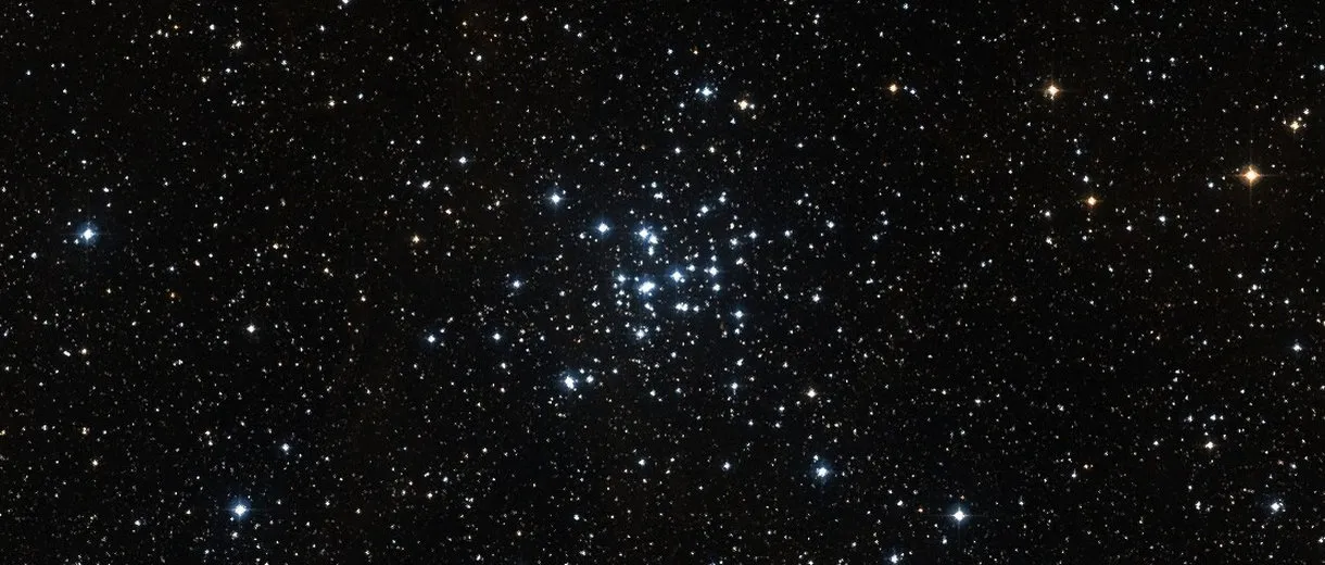 M 36