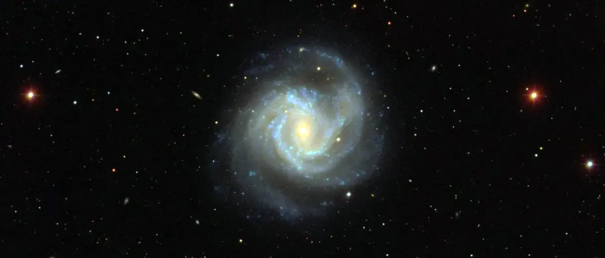 M 61