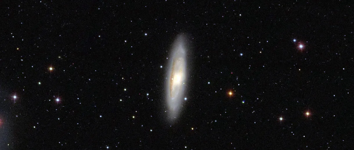 M 65