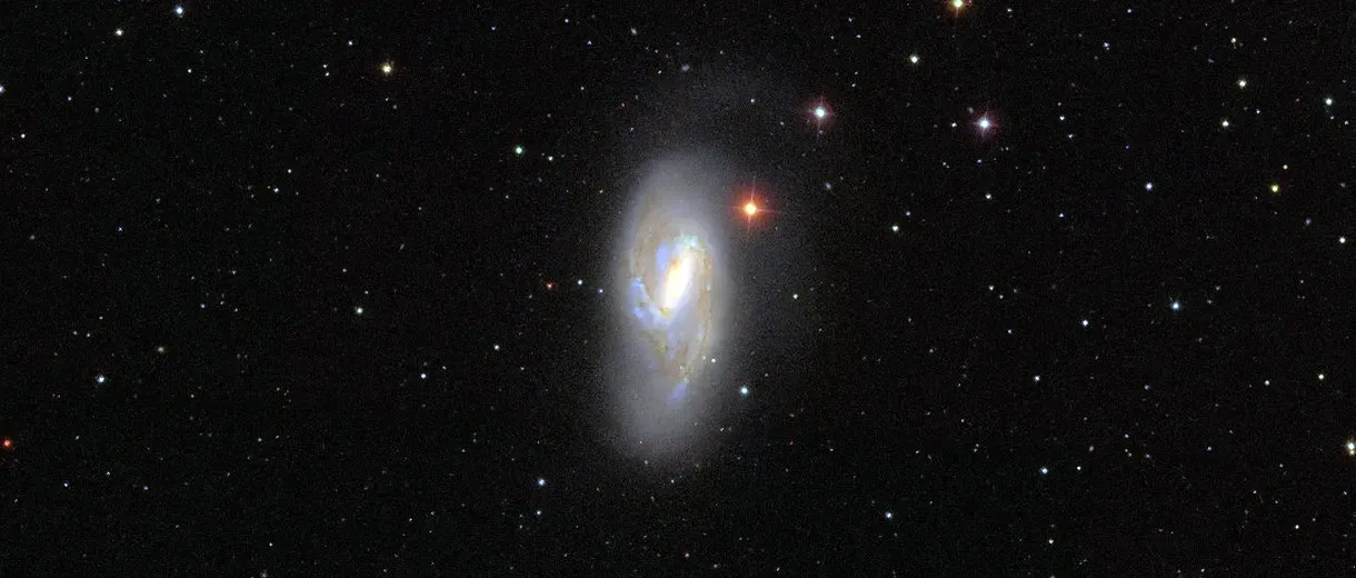 M 66