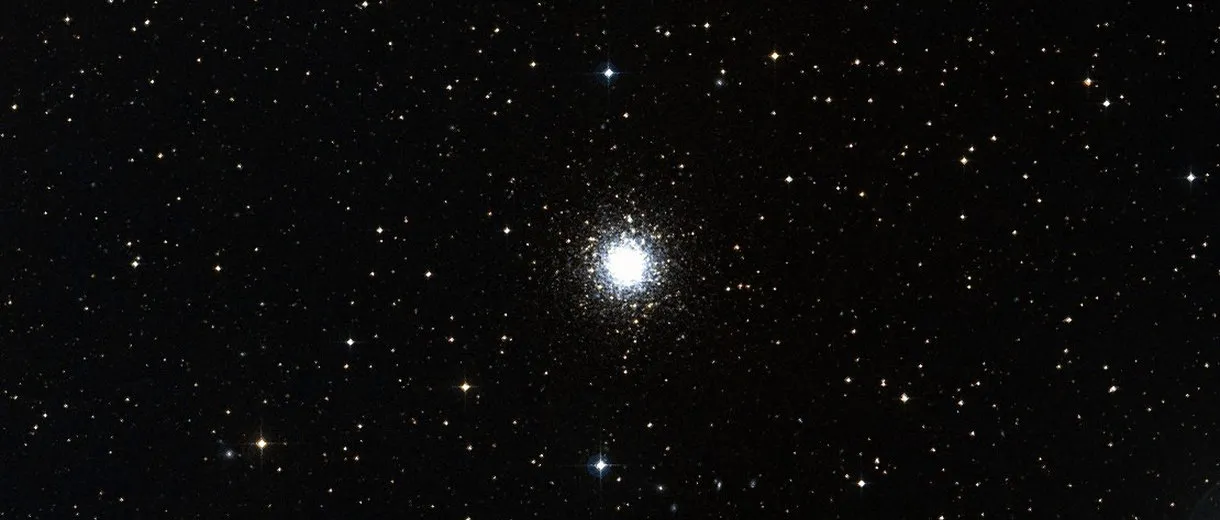 M 79