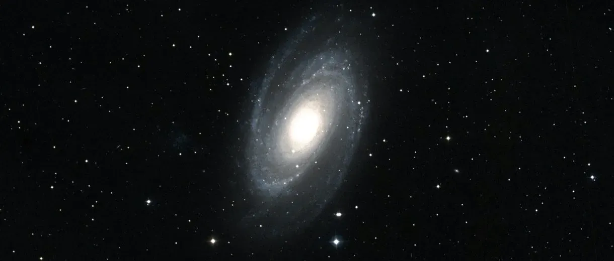 M 81