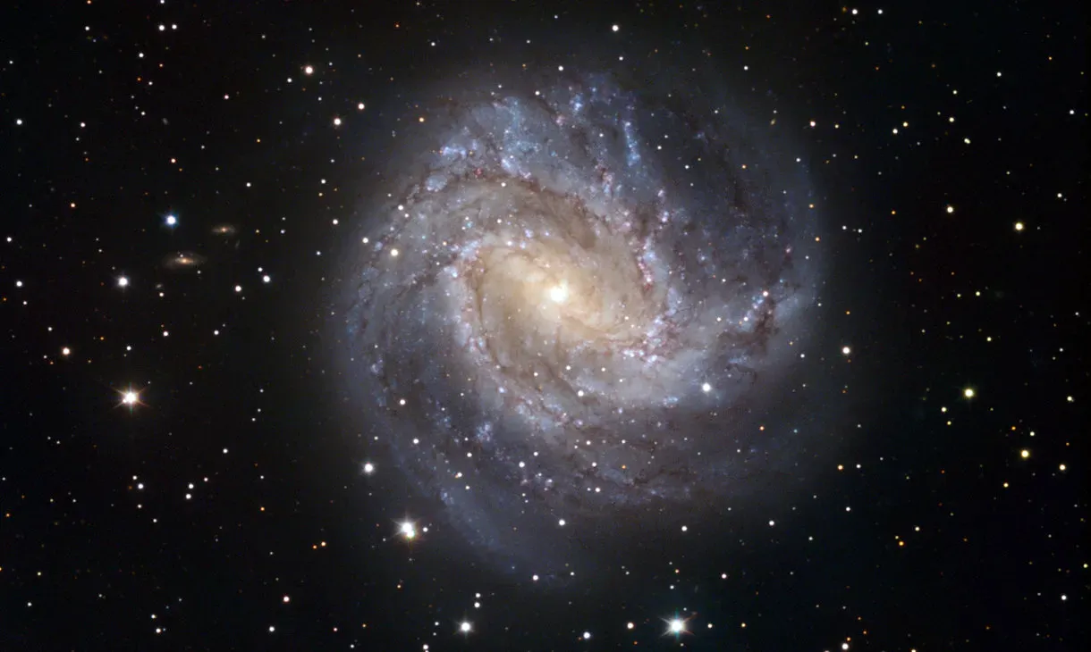 M 83