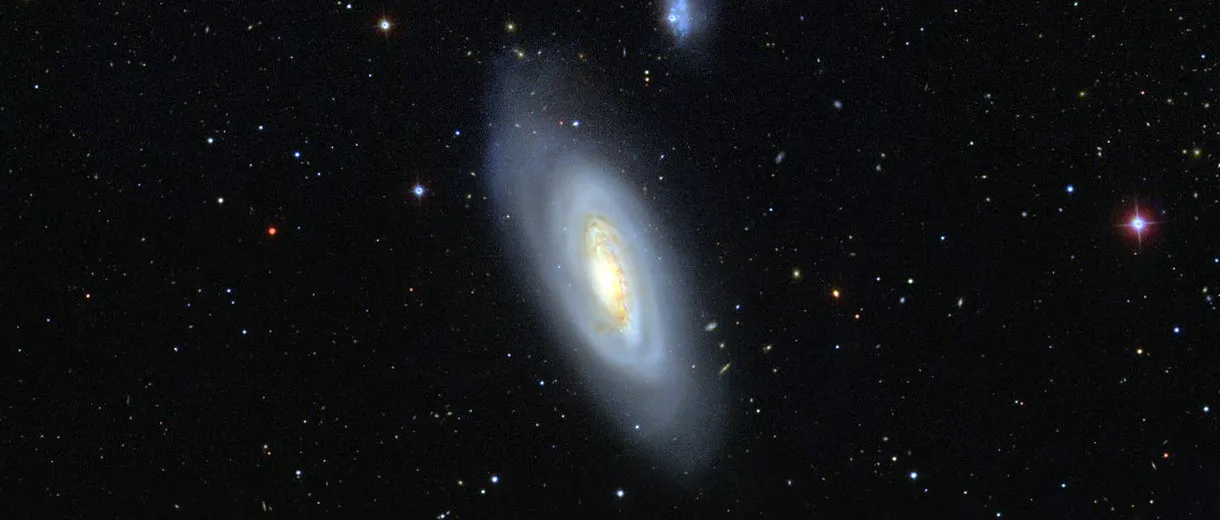 M 90