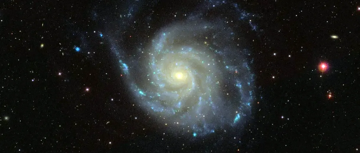 M 101
