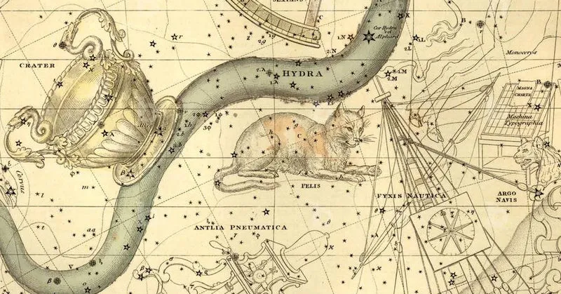 Constellation Felis