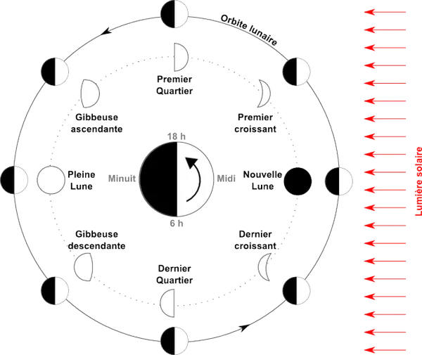 Phases lunaire